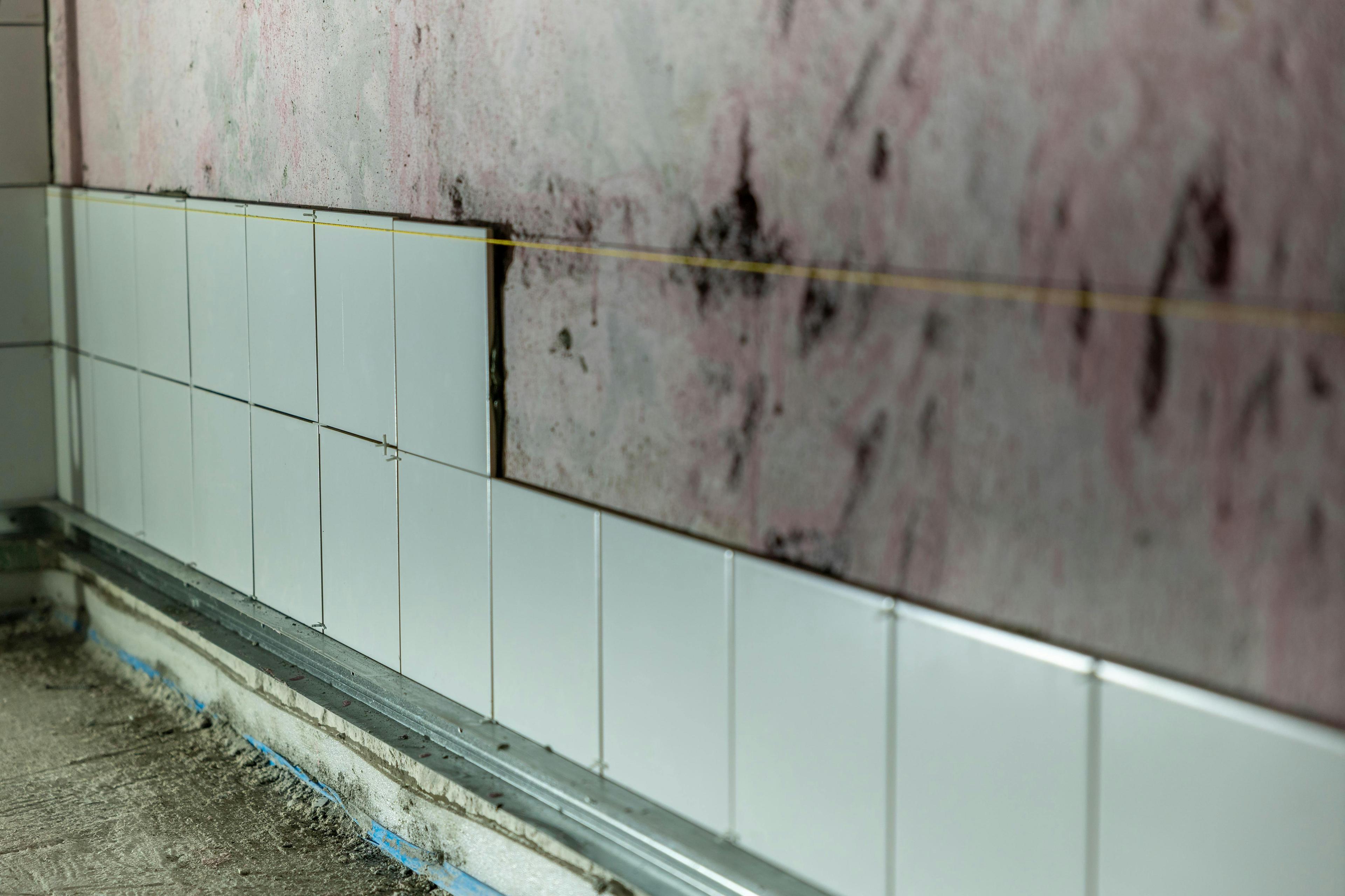 Water & mold