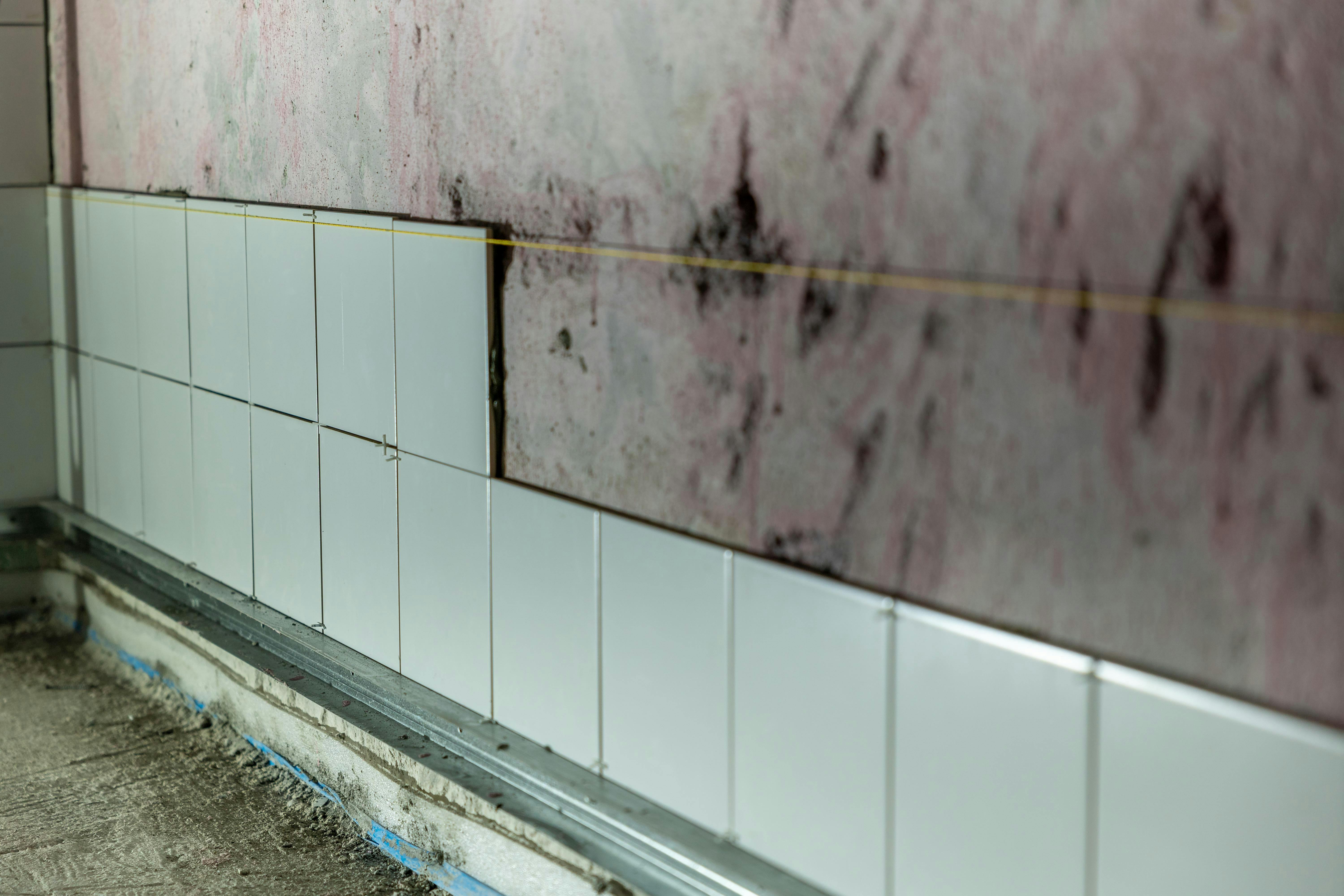 Water & mold